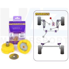 Lower Rear Engine Mount Poly