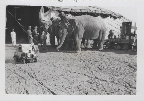 Ringling bros circus rbbb - ringling,