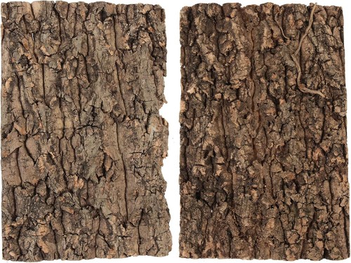 2pcs cork bark - bark, background
