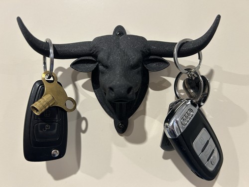 Long horn highland - highland, bull