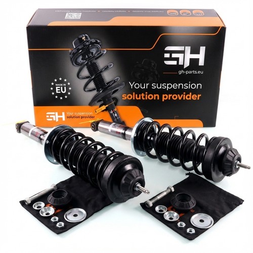 Gas complete struts - gas,