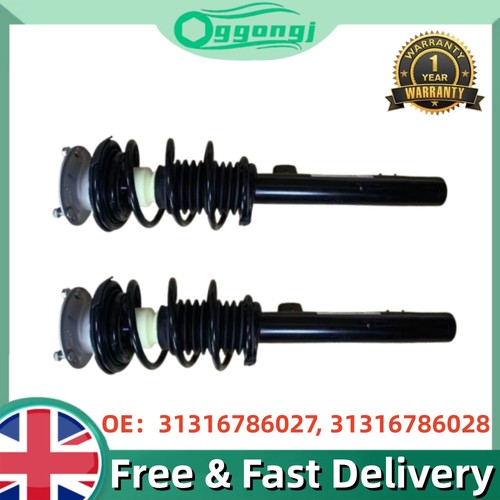 Shock absorber strut - absorber,