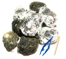 Premium Barn Owl Pellets