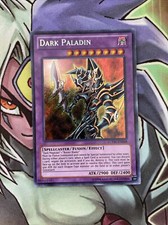 LCYW-EN048 Dark Paladin Secret Rare NM Yugioh Card