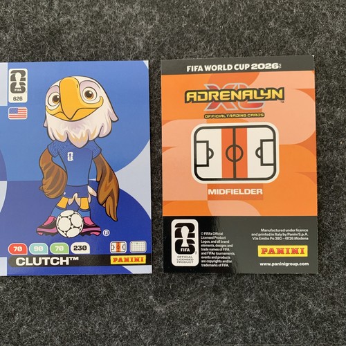 Panini fifa world - panini,