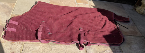 Horse thermo cooler rug - horse,