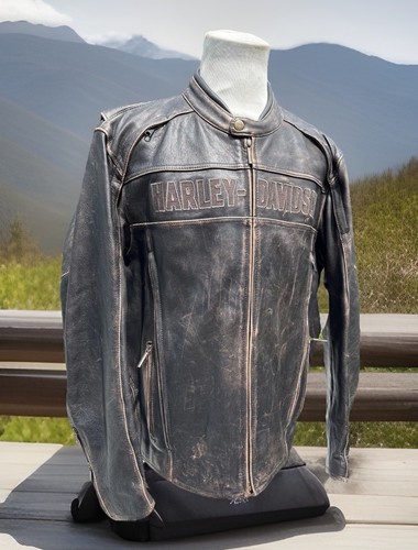 Harley davidson men - harley,