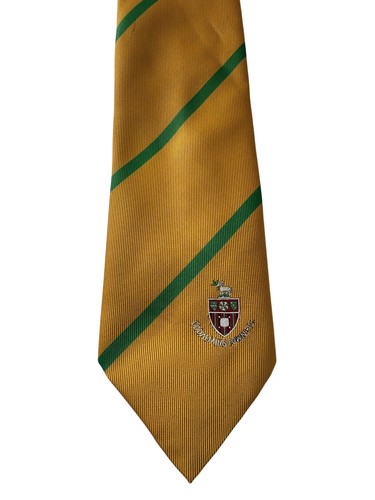 Godalming town football - football, tie