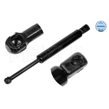 2401610043 BONNET GAS SPRING