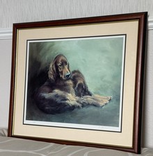 Irish Setters Dogs At Rest by