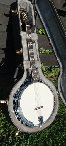 Gold tone tenor banjo - gold,