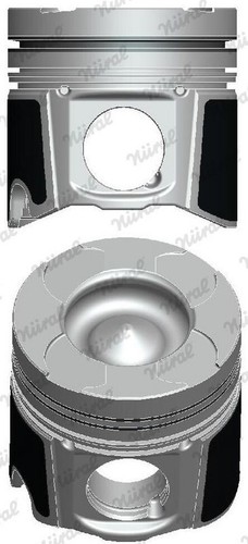 Fits nural 137500 30 - ✅fits,