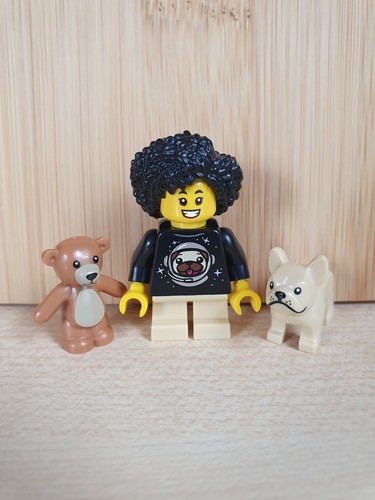 Lego space bam pug minifigure - lego,