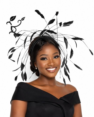 Elegant black feather - black,