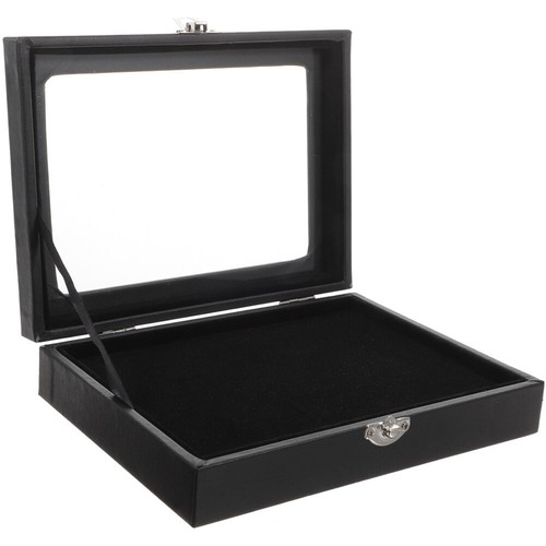 Pin display case brooch - pin,