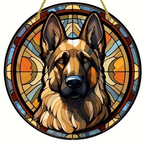 Alsatian large german shepherd - large,
