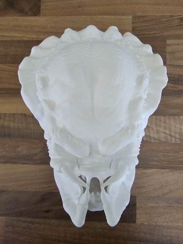 Childs predator mask - mask, for