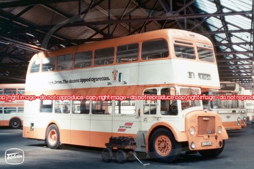 Bus photo selnec northern - bus,