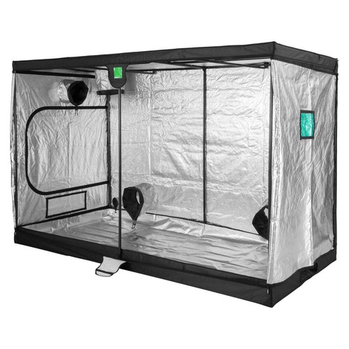 Budbox xxl plus - xxl, pro