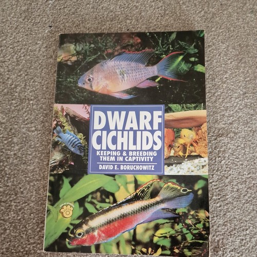 Dwarf cichlids keeping and - :,