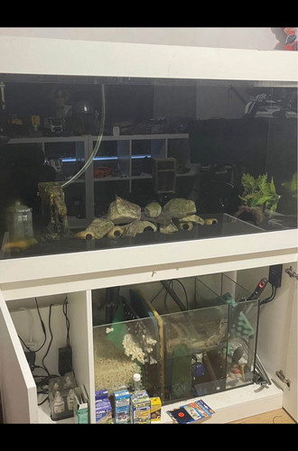 400l complete tropical marine - complete, tropical/marine