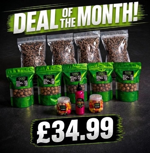 Carp fishing bait - carp,