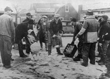 Milk bottles emptied road near
