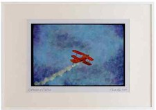 010090 Pitts Special, Flying