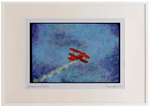 010090 pitts special flying - 010090,