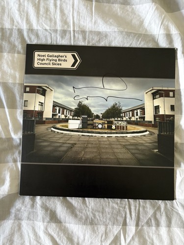 Noel gallagher council skies - noel,