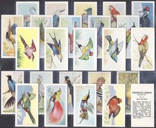A.H.C. (CONFECTIONERY)-FULL SET- TROPICAL BIRDS 1955 (25 CARDS) EXCELLENT+++