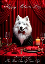 SAMOYED MOTHERS DAY CARD