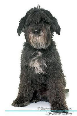 Pyrenean shepherd affirmations - shepherd,
