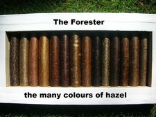 The FORESTER,  SEASONED & STRAIGHTENED HAZEL WALKING STICK SHANKS