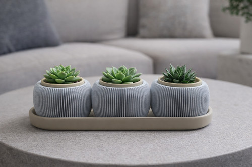 Triolam mini succulent - mini,