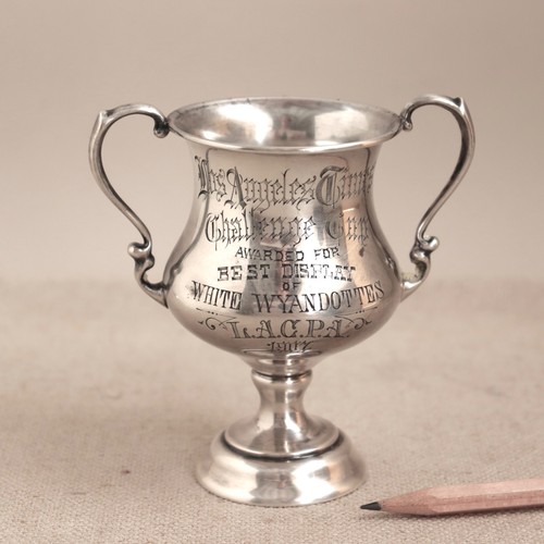 1907 best chickens - 1907, trophy