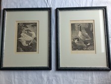 PAIR CHARLES F. TUNNICLIFFE