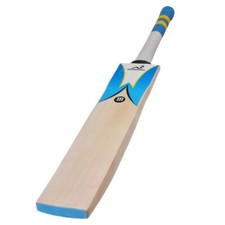 Woodworm cricket ibat 625 - woodworm,