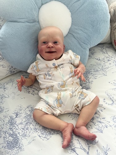 Reborn doll sebastian - doll,