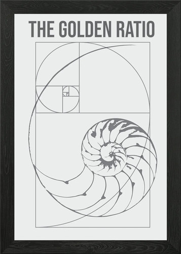 The golden ratio nautilus - the,