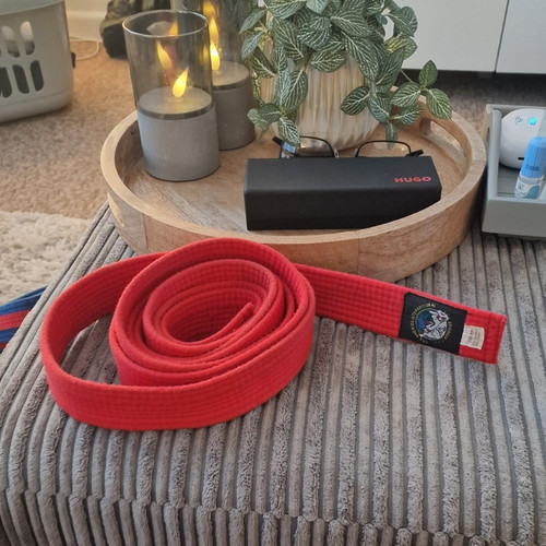 Karate martial arts belt red - belt,