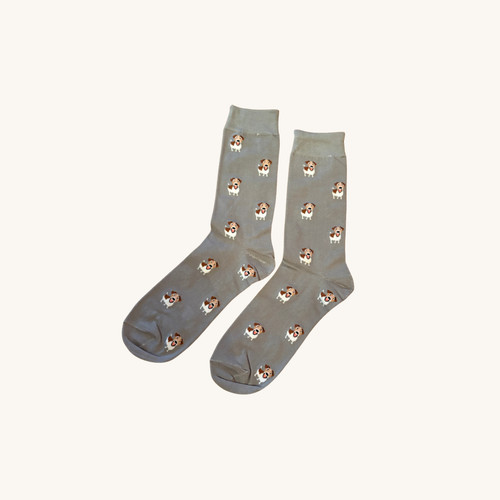 Jack russell terrier socks dog - russell,