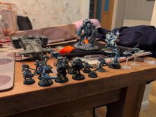 500 Point Tau Army with case