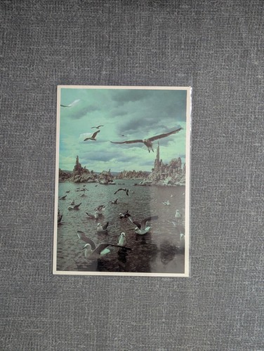 Vintage mono lake - vintage,