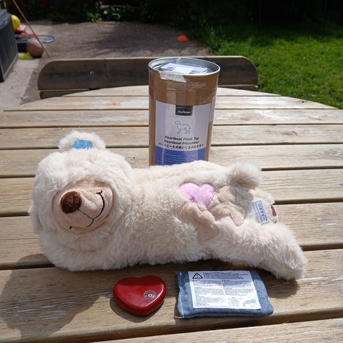 Snuggle bear pet plush toy - bear,