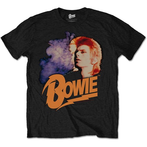Mens retro david - retro, glam