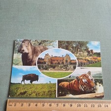 Vintage Postcard Fort Lympne