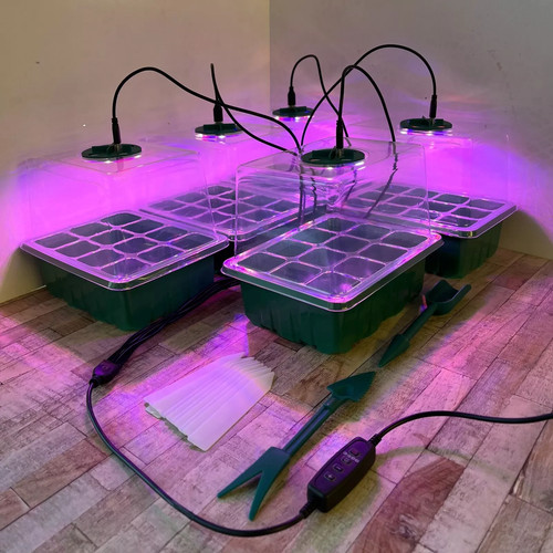 Plant propagator seed tray - propagator, set