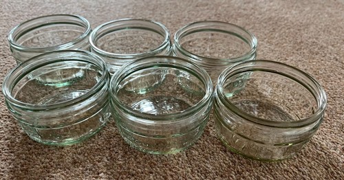 Glass ramekin dishes - x,