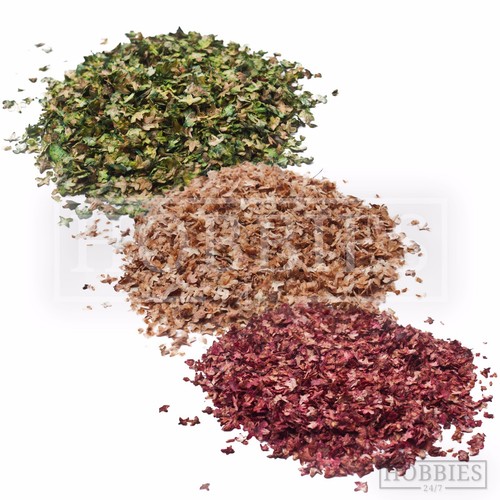 Leaf litter scatter spring - litter,